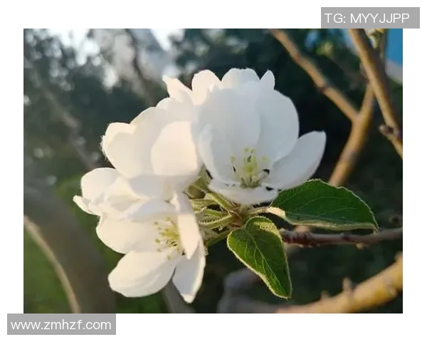 攀岩人生的深度对话:陈敏如何在挑战中找到自我与激情 攀岩人生的深度对话:陈敏如何在挑战中找到自我与激情